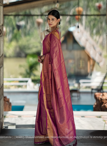 Mul Cotton Zari Jaal Saree Noor Rani
