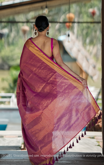 Mul Cotton Zari Jaal Saree Noor Rani