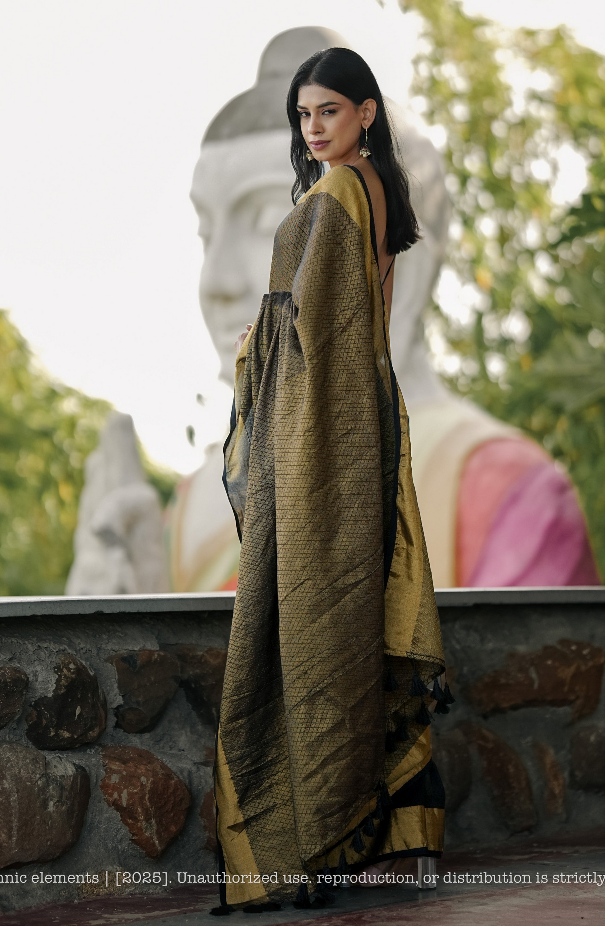 Mul Cotton Zari Jaal Saree Noor Onyx