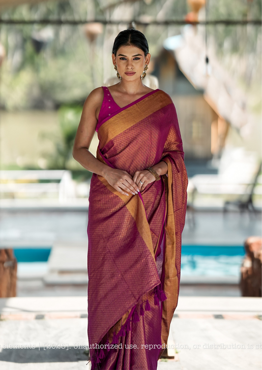 Mul Cotton Zari Jaal Saree Noor Rani