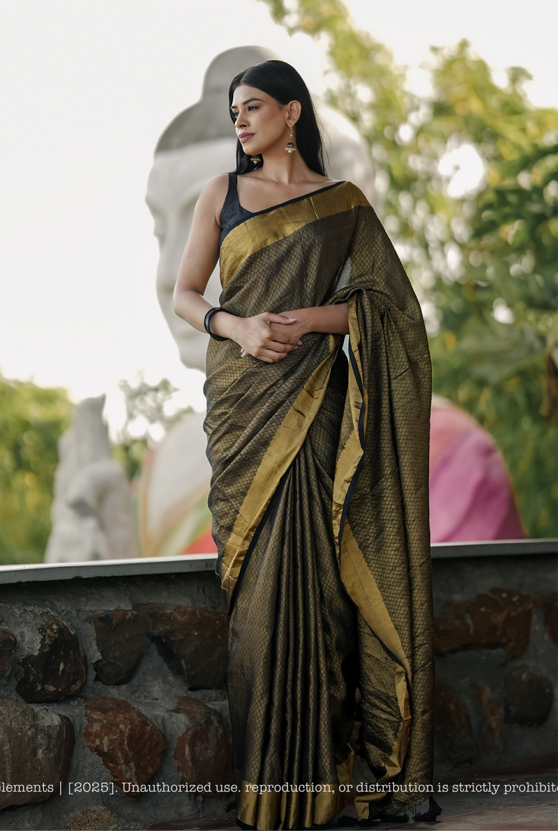 Mul Cotton Zari Jaal Saree Noor Onyx