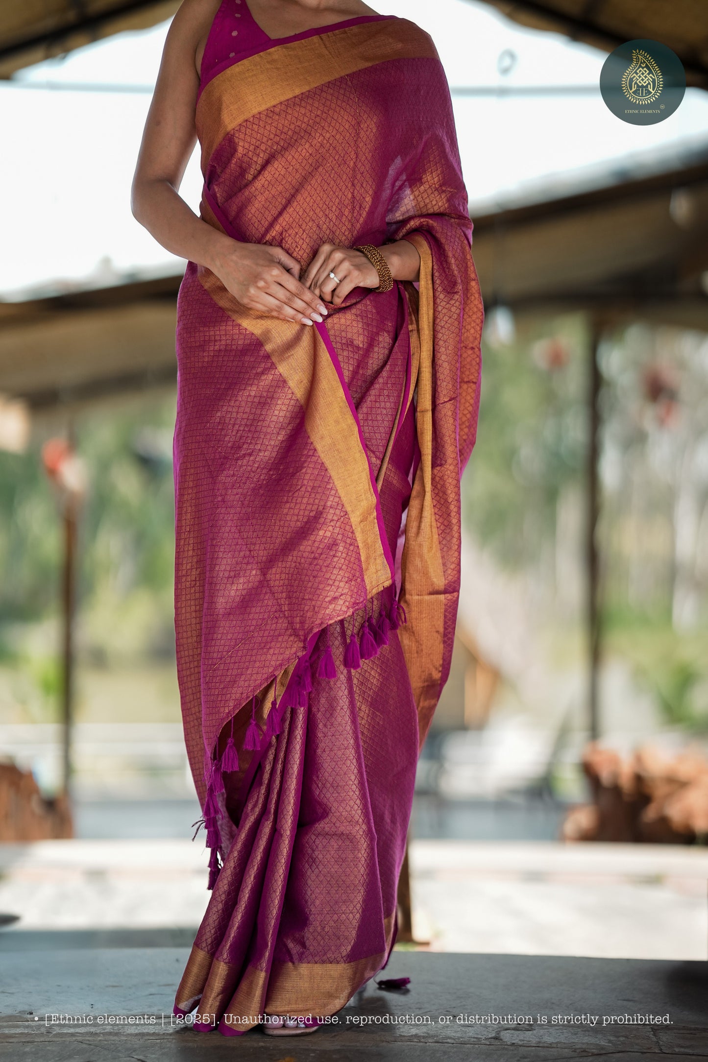 Mul Cotton Zari Jaal Saree Noor Rani
