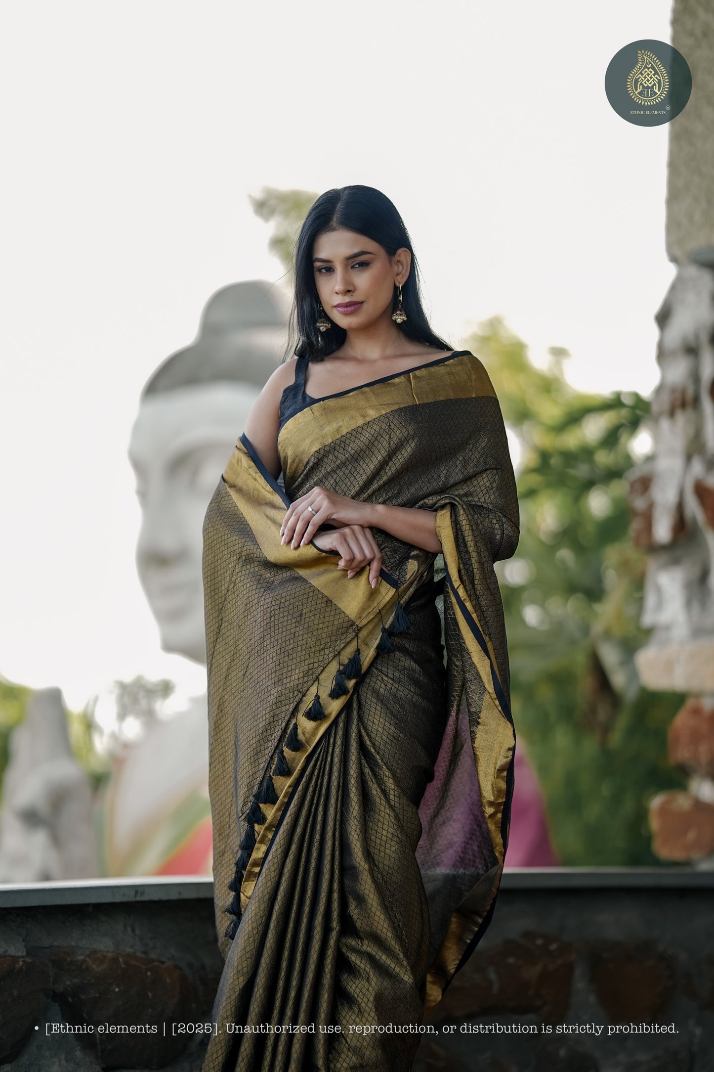 Mul Cotton Zari Jaal Saree Noor Onyx