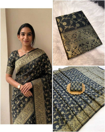 Woman wearing a black and gold saree with close-up details on a white background