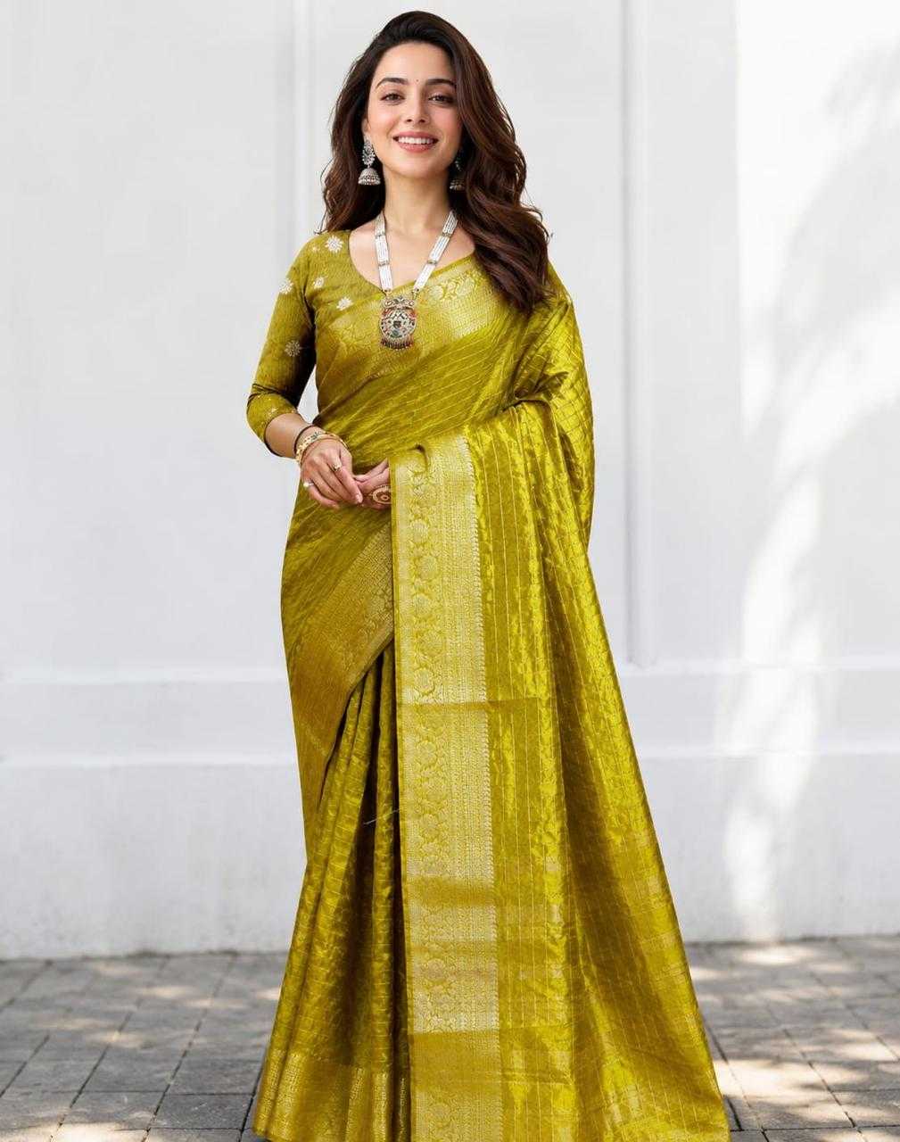 Woman wearing a green saree with a white background