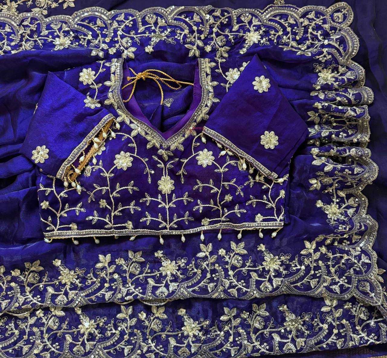 Blue embroidered blouse with matching dupatta on a blue background