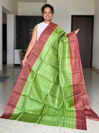 A woman modeling a green and pink checkered saree with a pink border, standing in an indoor hallway.
